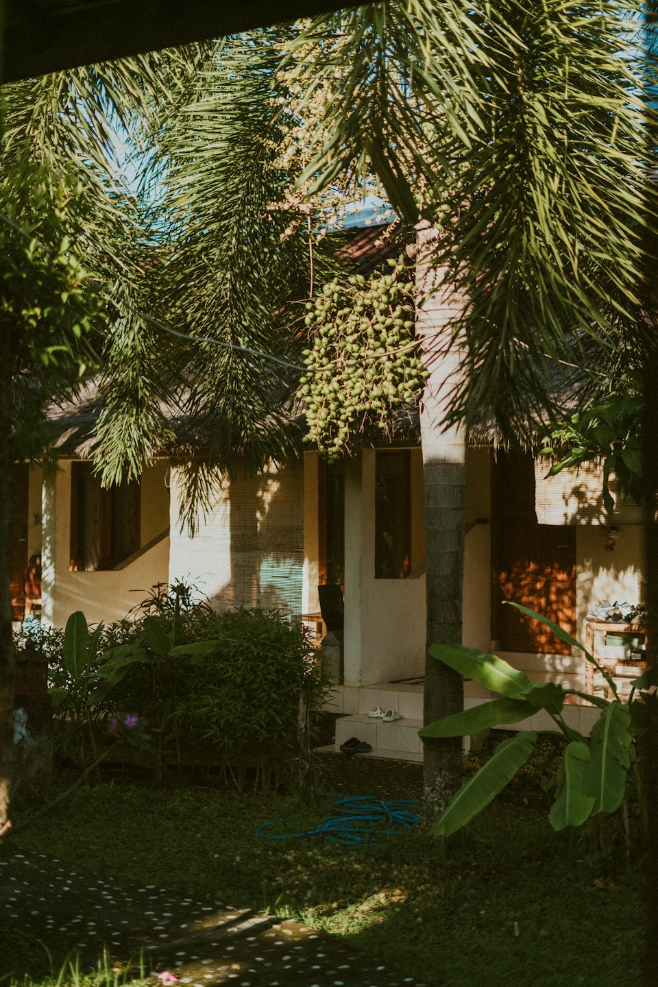 Tropical foliage surrounds a villa with a stone path.