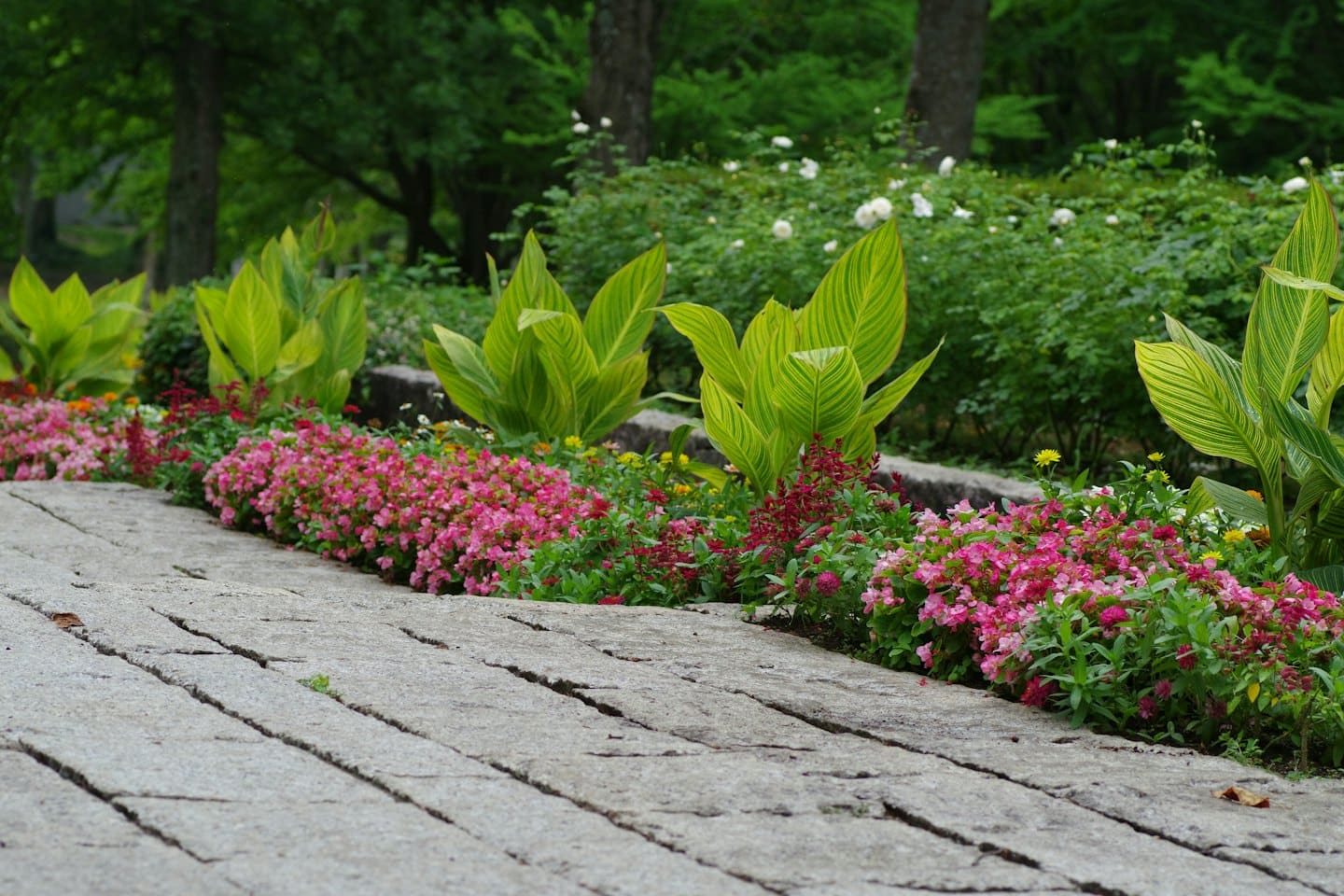 A stone path winds through a garden of blooming flowers.
