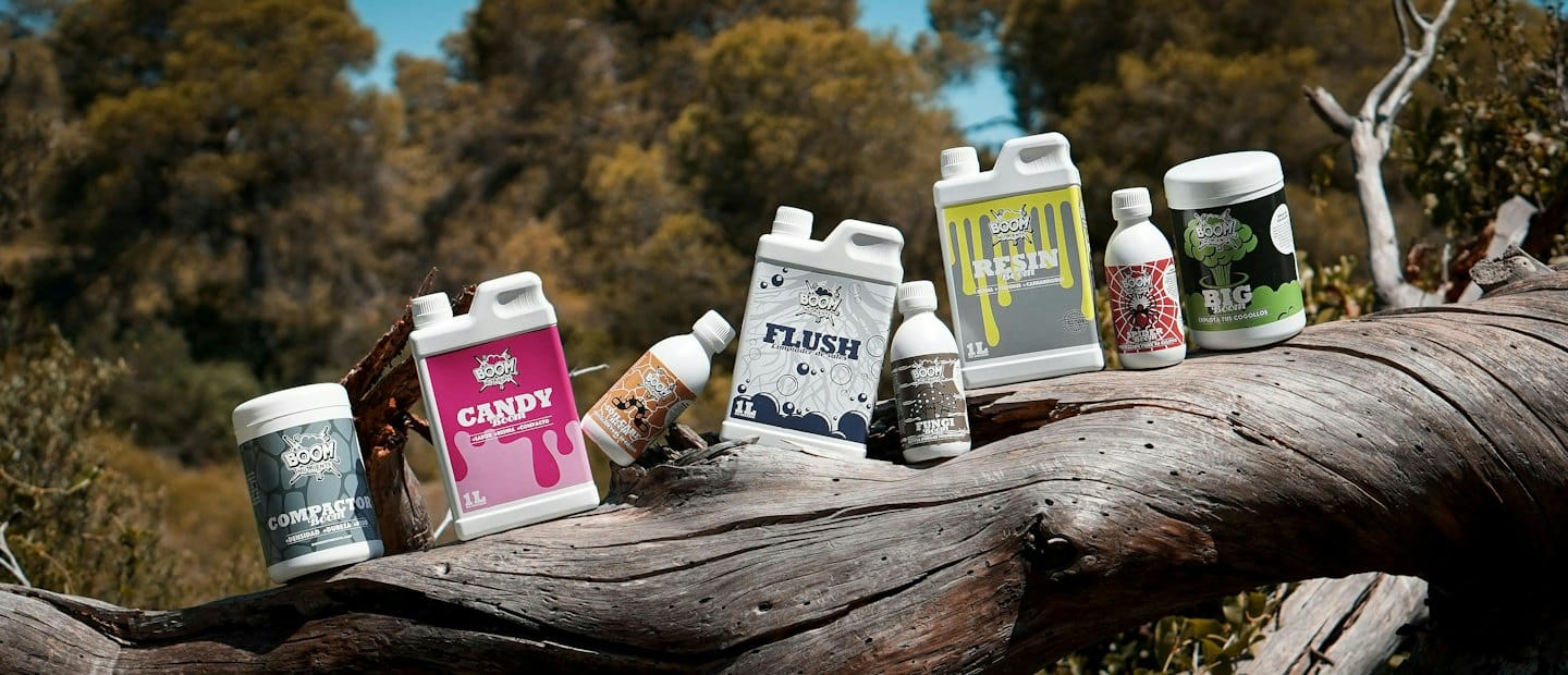 Various product bottles arranged in a line on a tree log.